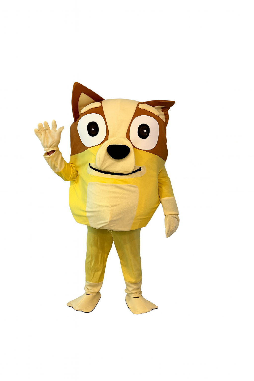 Bingo Costume