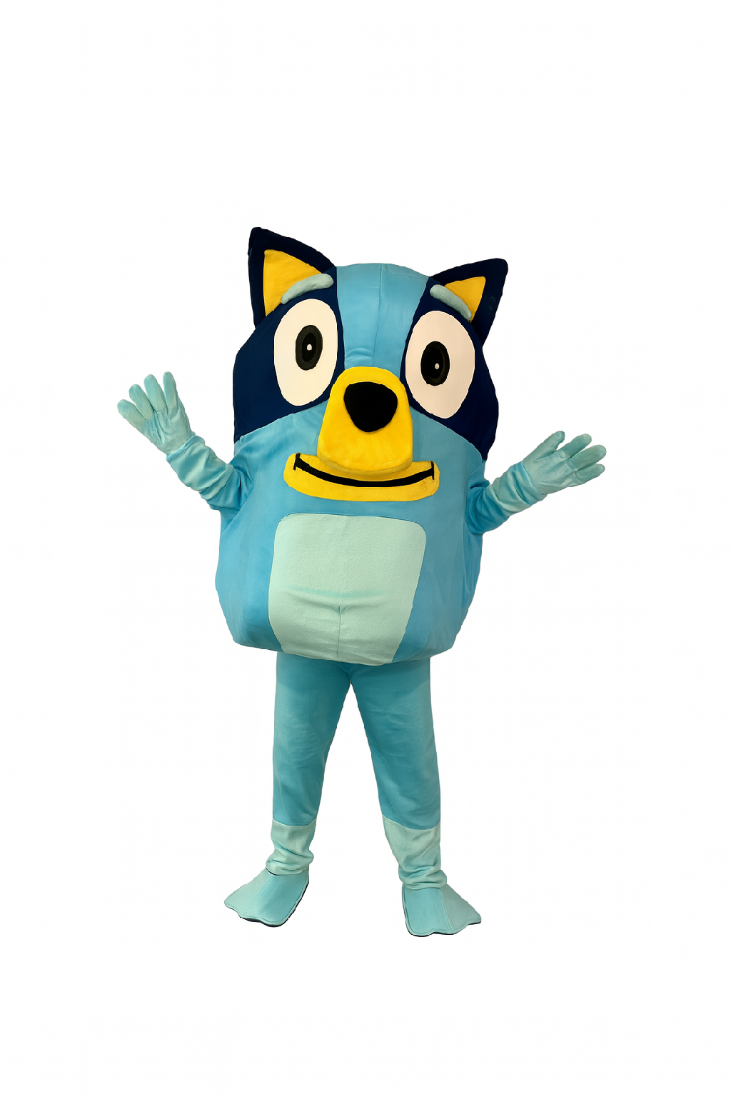 Bluey Costume